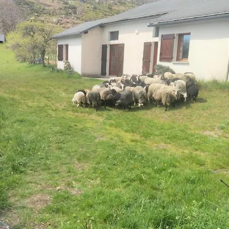 Le Suquet - En Pleine Nature Сasa de vacaciones Dourbies